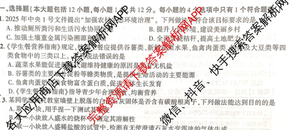 安徽省2026届九年级作业(二)各科答案及试卷（7科全）化学试题