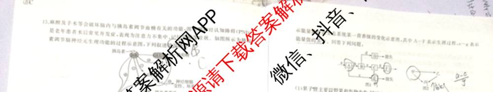 百师联盟2025届高三信息押题卷(四)4试卷及答案汇总（51科全）生物试题