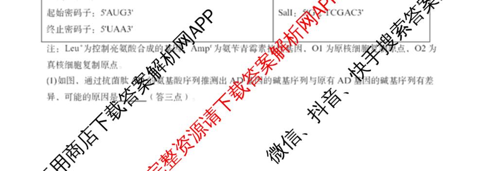 张家界市2024~2025学年第二学期高二期末考试试卷及答案汇总(已更新化学(C) 历史 地理(B)等14份)生物试题