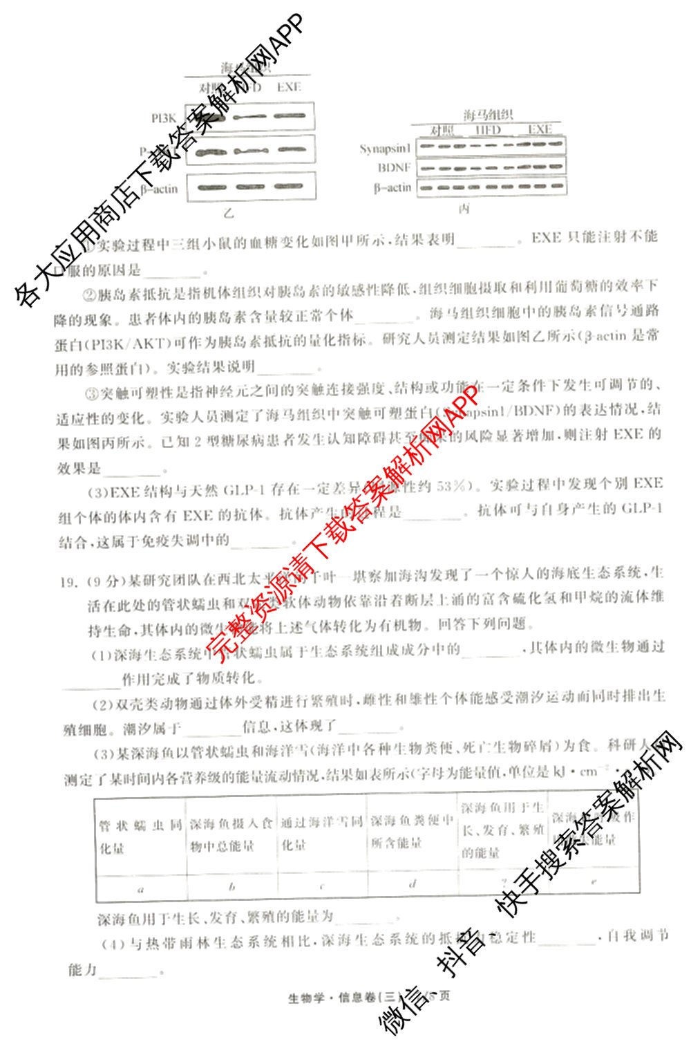 天舟高考衡中同卷2026年普通高等学校招生全国统一考试模拟信息卷(三)3试卷及答案汇总（含历史(GY) 物理(安徽版) 英语(通用版)等）生物试题