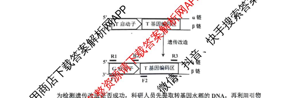 浙江省嘉兴市2026年高三教学测试(2026.04)试卷及答案汇总: 含物理 语文 英语试卷解析生物试题