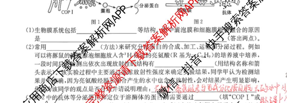 2025-2026学年山西高一4月质量检测卷(261581D)试卷及答案汇总(已更新英语、生物、物理等9份)生物试题