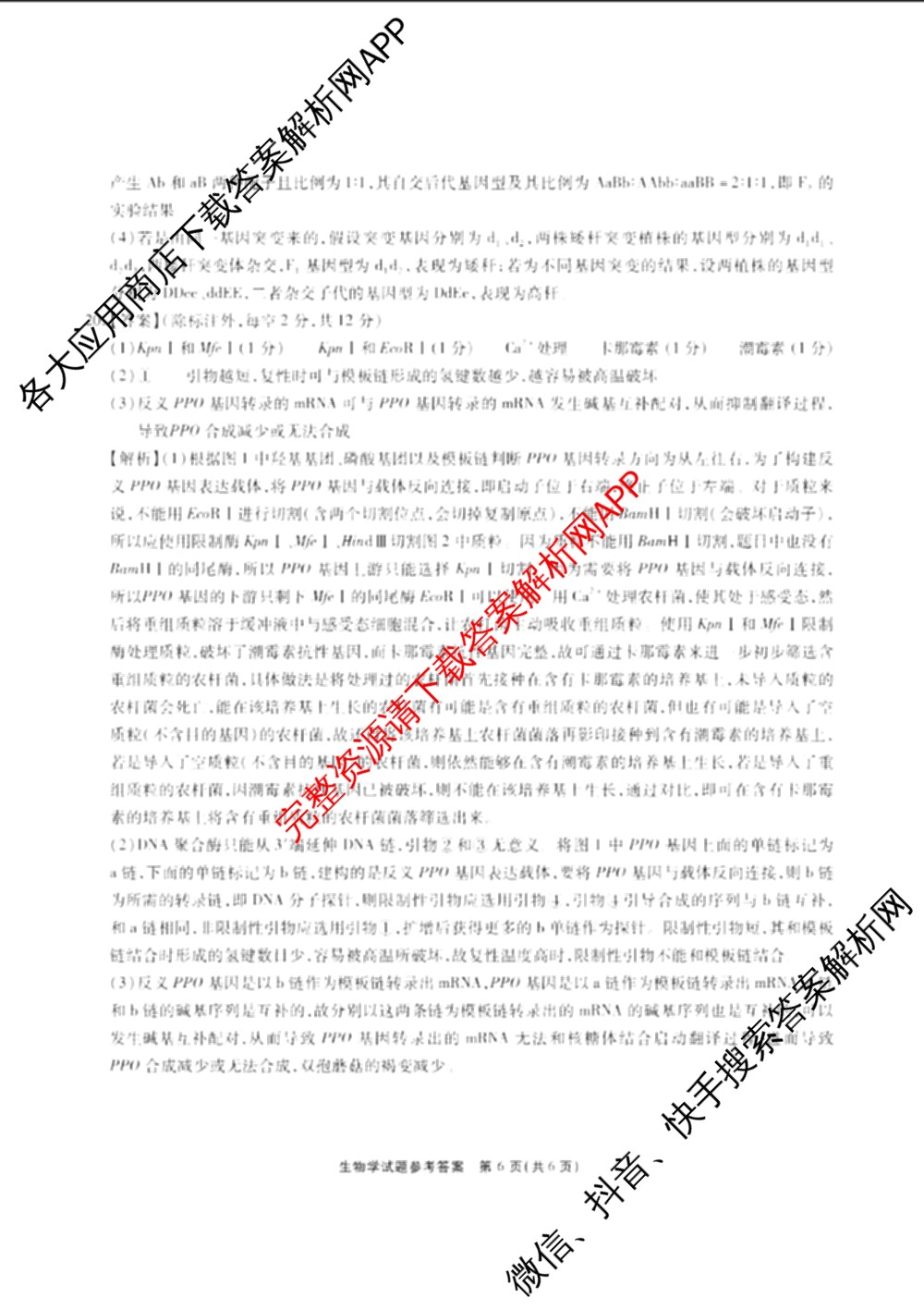 江淮十校2026届高三第一次联考(2025.8)各科答案及试卷（含语文、化学、政治等）生物答案