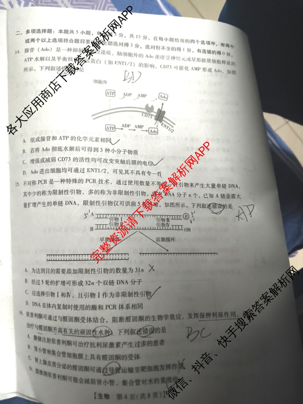 琢名小渔名校联考2026届高三4月联考(无标题)各科答案及试卷（含数学、物理、语文等9份）生物试题