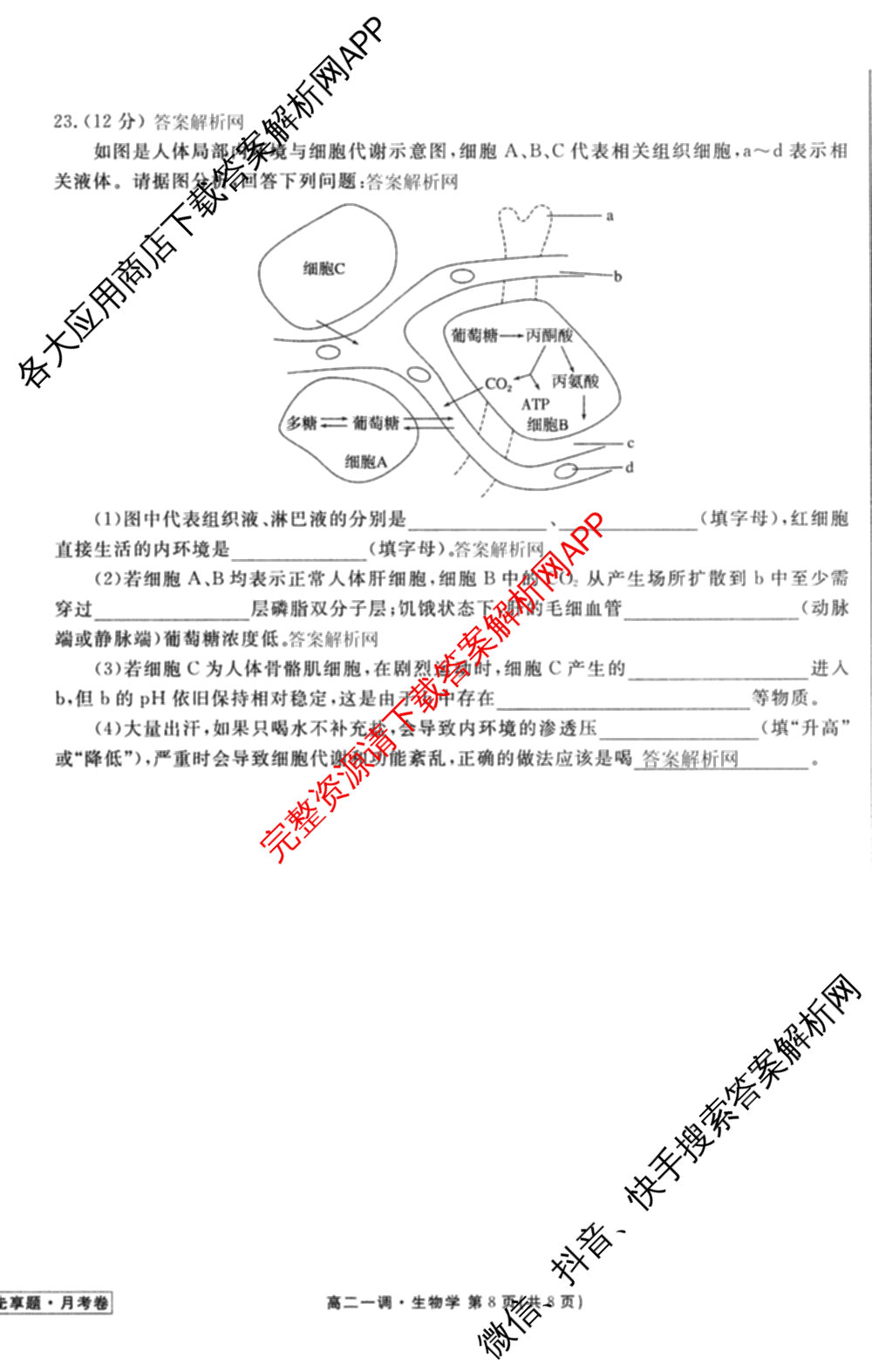 衡水金卷先享题月考卷2025-2026学年度上学期高二年级一调考试各科答案及试卷(已更新化学(人教版) 地理(人教版) 政治等9份)生物试题