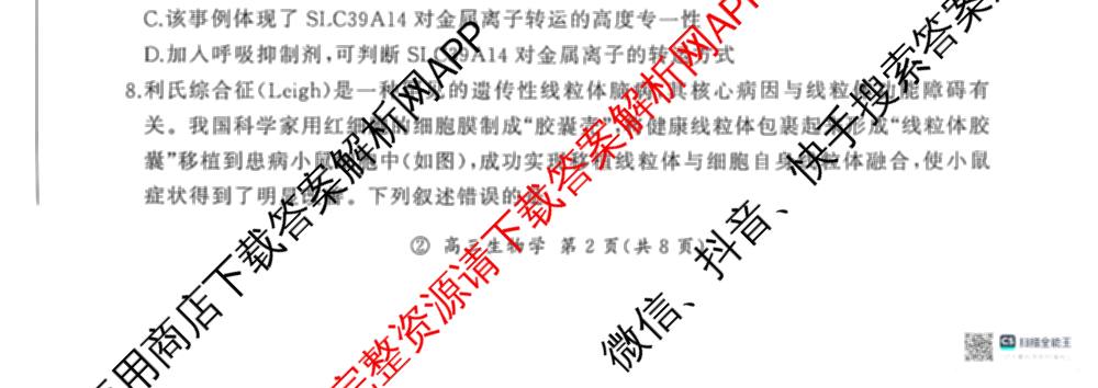百师联盟2027届高三一轮复联考(二)(9.22)(无标题②)（33科全）生物试题