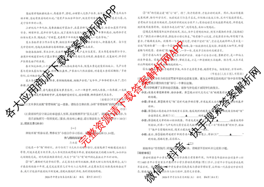 晋文源2026年中考全仿真自测卷(五)5试卷及答案汇总（含物理、语文、道德与法治等7份）语文试题