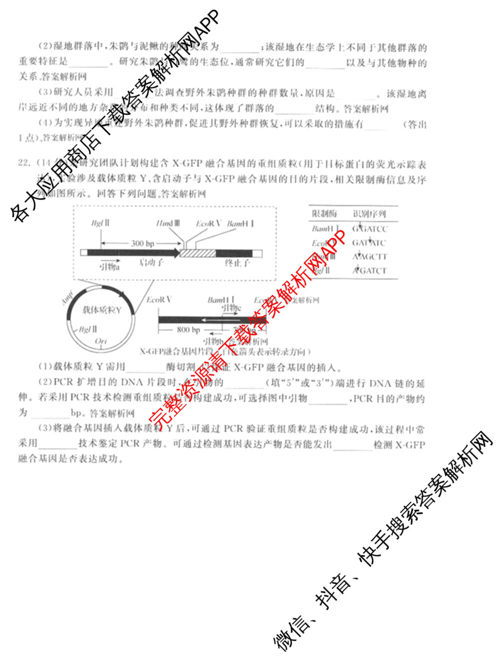 天舟高考衡中同卷2026年普通高等学校招生全国统一考试模拟信息卷(六)6试卷及答案汇总（含化学(山东版) 数学(无字母) 文综(新疆版)等）生物试题