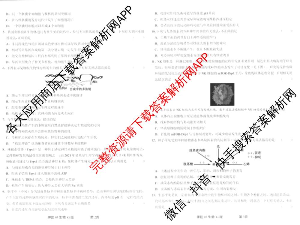 2025届押题03各科答案及试卷（含英语(新)、化学(H版)、物理(P版)等）生物试题