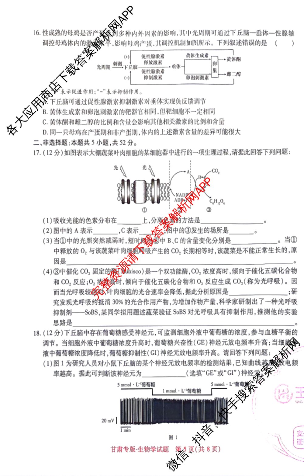 王后雄2024年普通高等学校招生全国统一考试预测卷各科答案及试卷（含语文(安徽专版)、政治(重庆专版)、历史(福建专版)等144份）生物试题