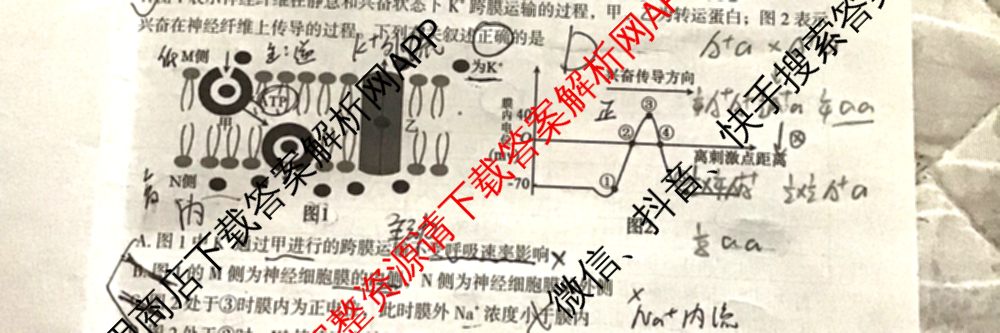 郴州市2025届高三第一次教学质量监测试卷各科答案及试卷（含数学、生物、地理等9份）生物试题