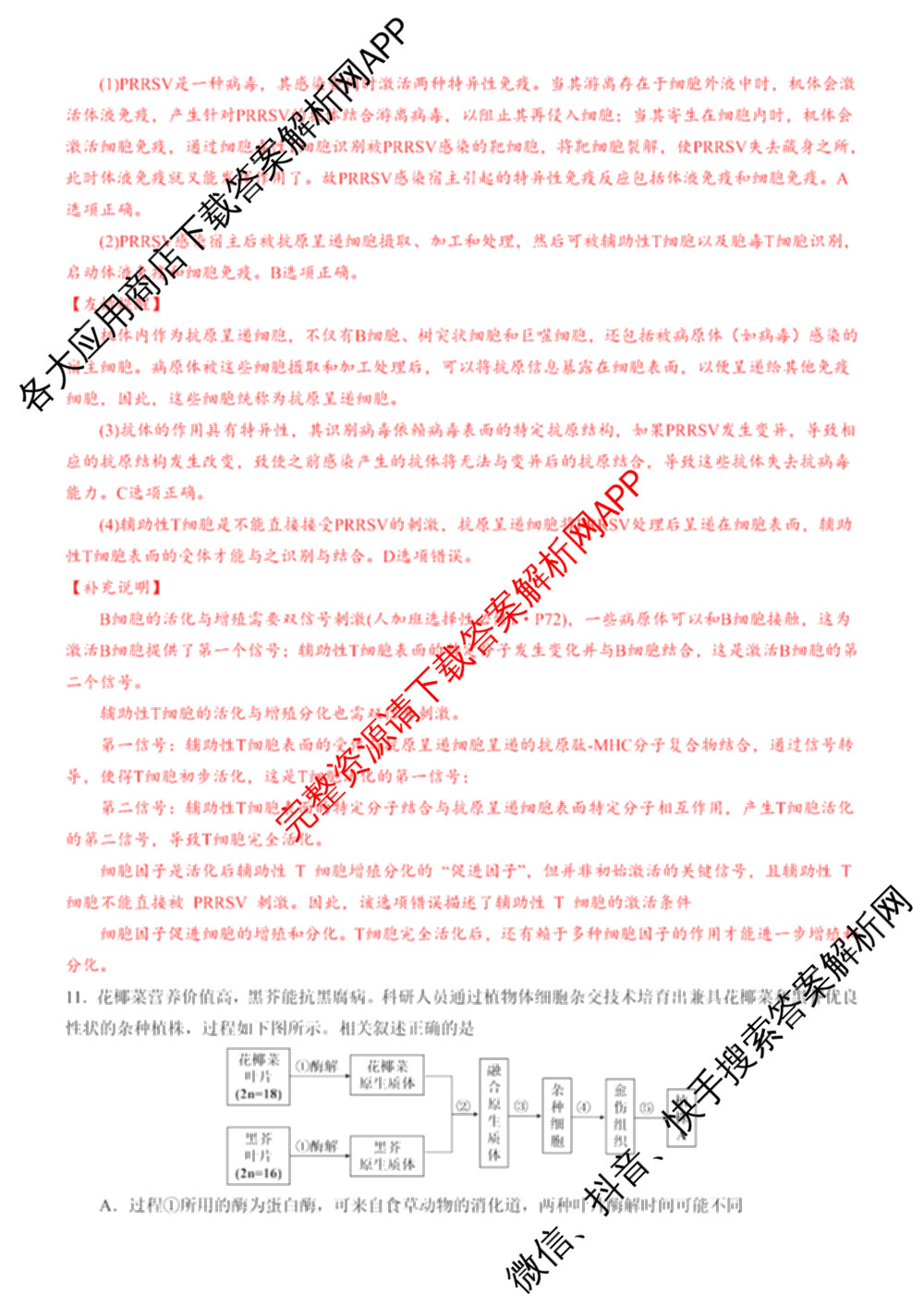 安徽省合肥一中2025-2026年高三1月月考（含政治、数学、历史等）生物答案