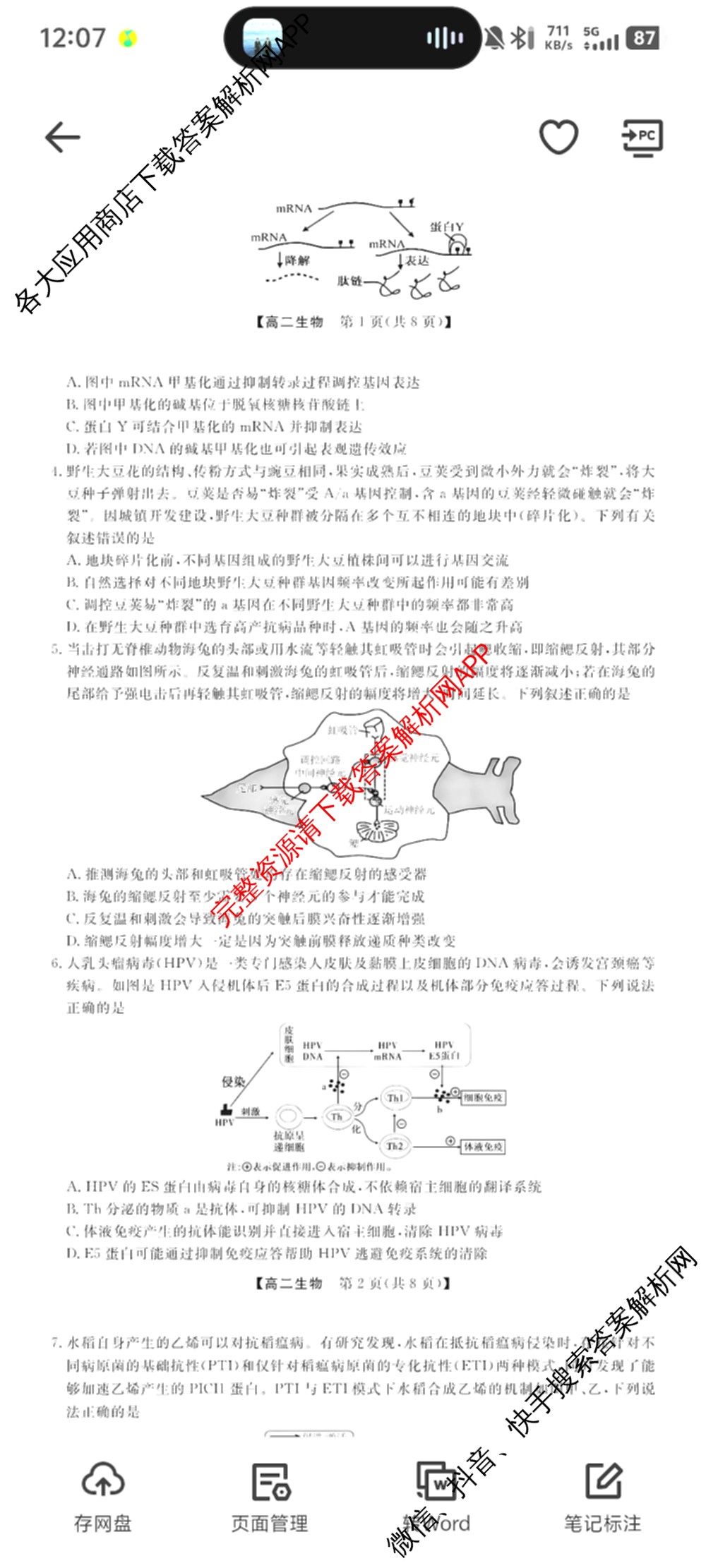 河南省2024~2025年高二下学期期末联考考试(HN)（含政治、英语、物理等）生物试题