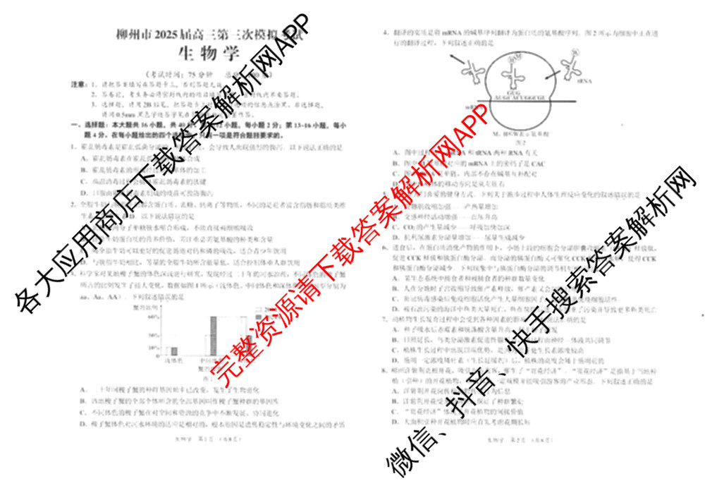 [柳州三模]柳州市2025届高三第三次模拟考试（含历史、地理、语文等）生物试题