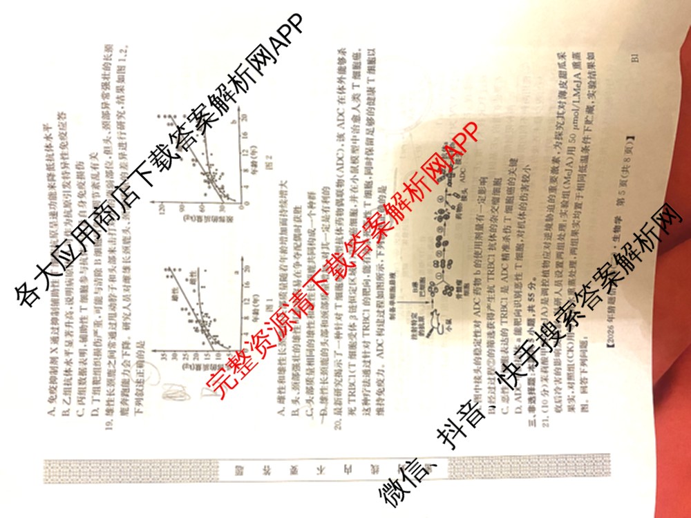 2026年普通高等学校招生全国统一考试猜题信息卷(二)2（含政治(B2)、化学(B2)、物理(B3)等）生物试题
