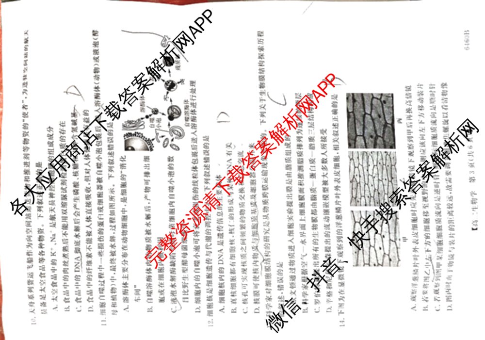 陕西省绥德一中2027届高二第二学期期末质量检测(6460B)试卷及答案汇总: 含地理 英语 数学试卷解析生物试题