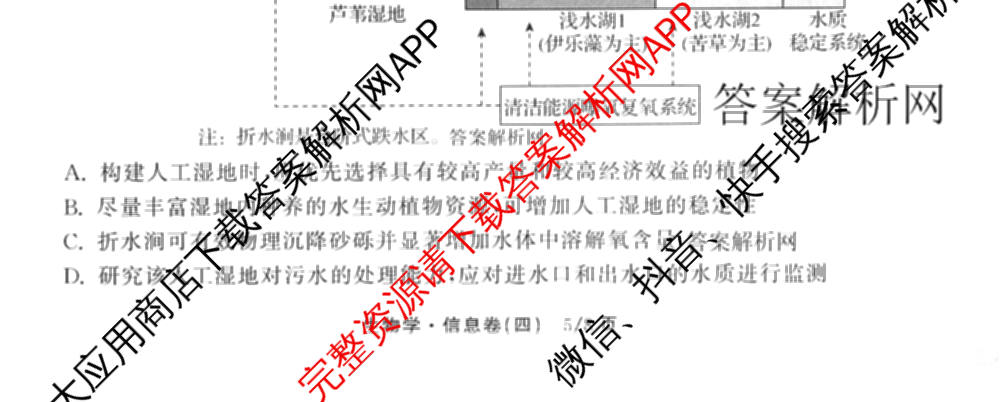 天舟高考衡中同卷2026年普通高等学校招生全国统一考试模拟信息卷(四)4试卷及答案汇总: 含化学(山东版)、生物(WY)、英语(B)试卷解析生物试题
