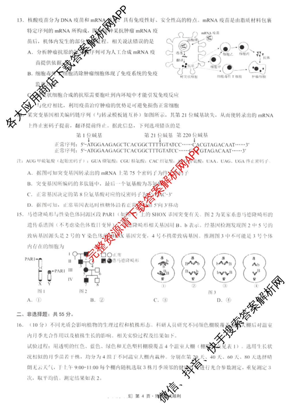 重庆康德2026届重庆市高考模拟调研卷(六)（9科全）生物试题