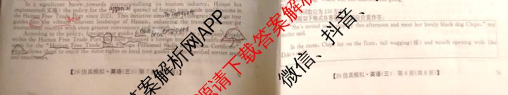 2026年全国高考仿真模拟卷(三)3试卷及答案汇总(已更新物理(AH N) 生物(A N) 数学(N)等14份)英语试题