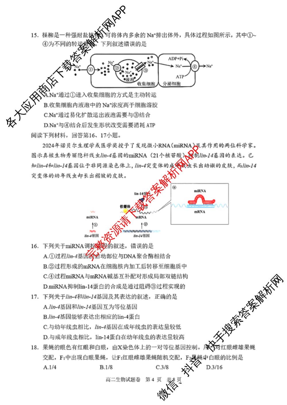 丽水市2024学年第一学期普通高中教学质量监控高二试题卷(2025.01)各科答案及试卷（含物理 日语 数学等11份）生物试题