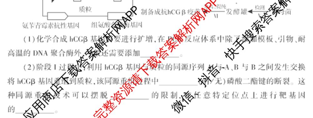 潜江市2024-2025年七月高二期末统一调研测试各科答案及试卷(已更新语文、日语、化学等10份)生物试题