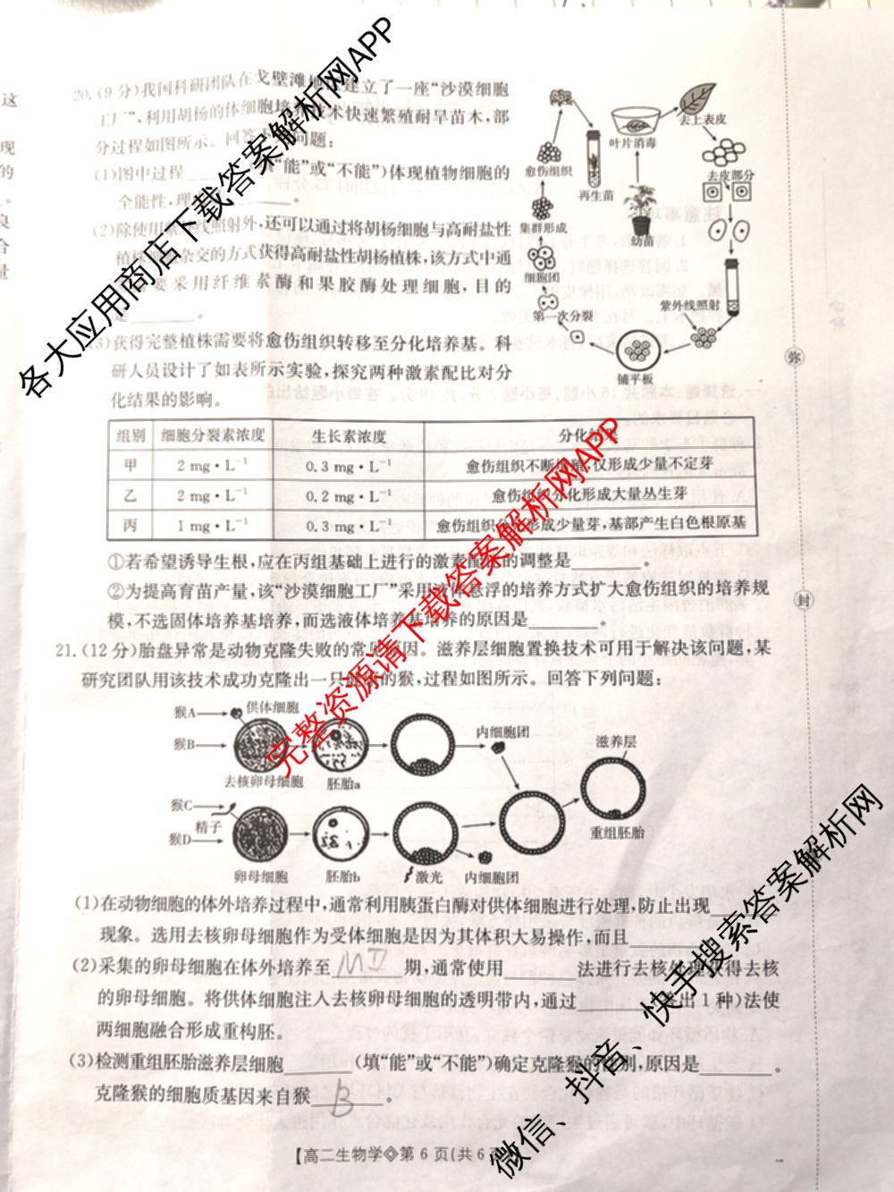 山西省2025-2026高二4月联考(双空心菱形)各科答案及试卷（9科全）生物试题