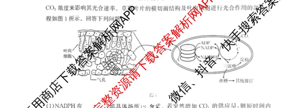 十堰市2024-2025学年度下学期期末调研考试(高一年级)试卷及答案汇总(已更新历史、生物、英语等9份)生物试题