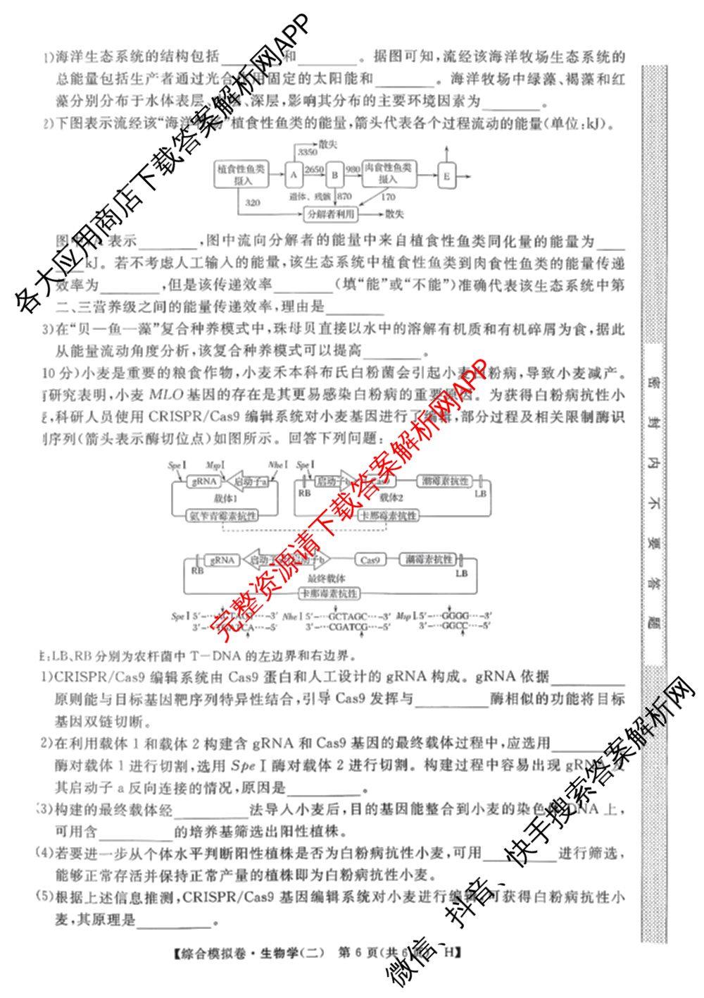 2026普通高等学校招生全国统一考试综合模拟卷(二)2试卷及答案汇总: 含地理(F)、地理(C)、数学(X)试卷解析生物试题