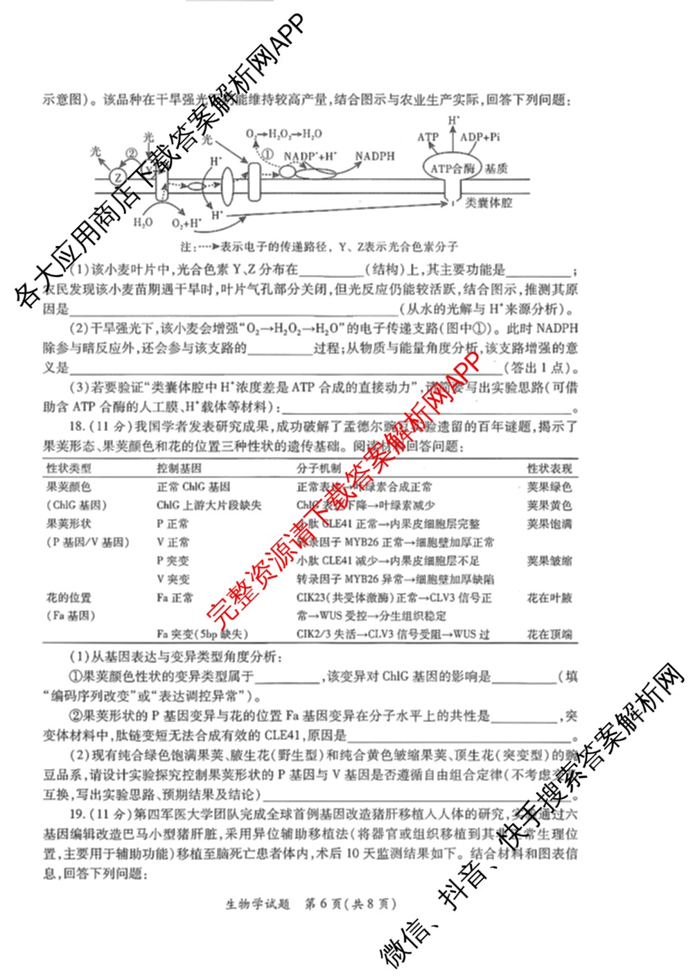 陕西省2026年高考适应性检测(二)试卷及答案汇总(已更新历史 政治 语文等9份)生物试题