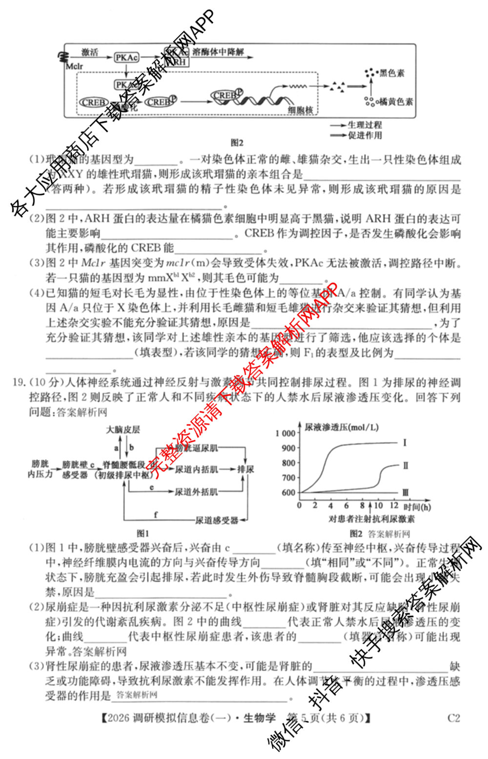 2026届全国高考调研模拟信息卷(一)1试卷及答案汇总(已更新数学 政治(河南) 物理(C1)等14份)生物试题