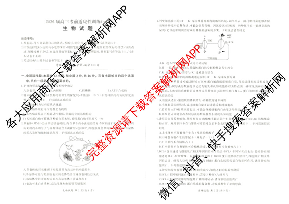 百师联盟2026届高三考前适应性训练(一)试卷及答案汇总（含政治(百L)、数学(百B)、物理(百G)等）生物试题