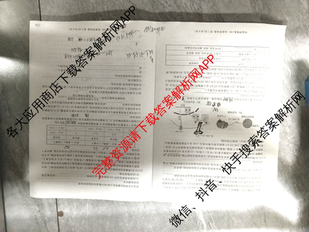 百师联盟2025届高三信息押题卷(四)4试卷及答案汇总（51科全）生物试题