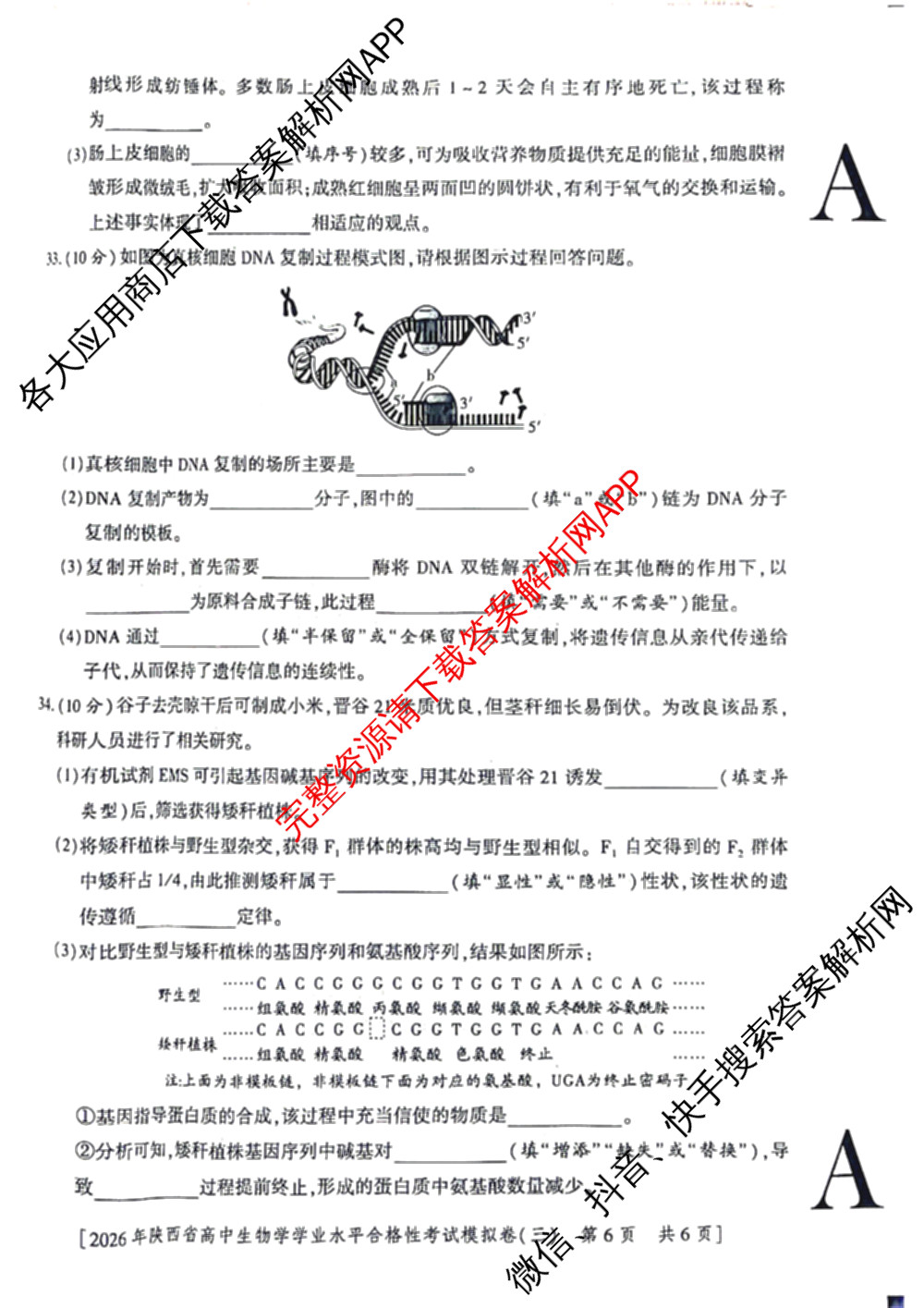 益卷 2026年陕西省普通高中学业水合格性考试模拟卷(三) （11科全）生物试题