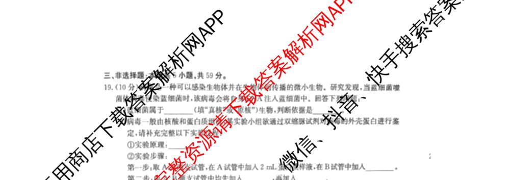 河北邢台市卓越联盟2025-2026学年高一测评(同心倒三角)（含化学 数学 地理等）生物试题