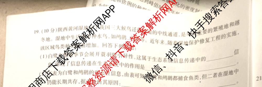 天一大联考2027届高三联考(★★★202609)(9.8)各科答案及试卷（含生物、化学、物理等）生物试题