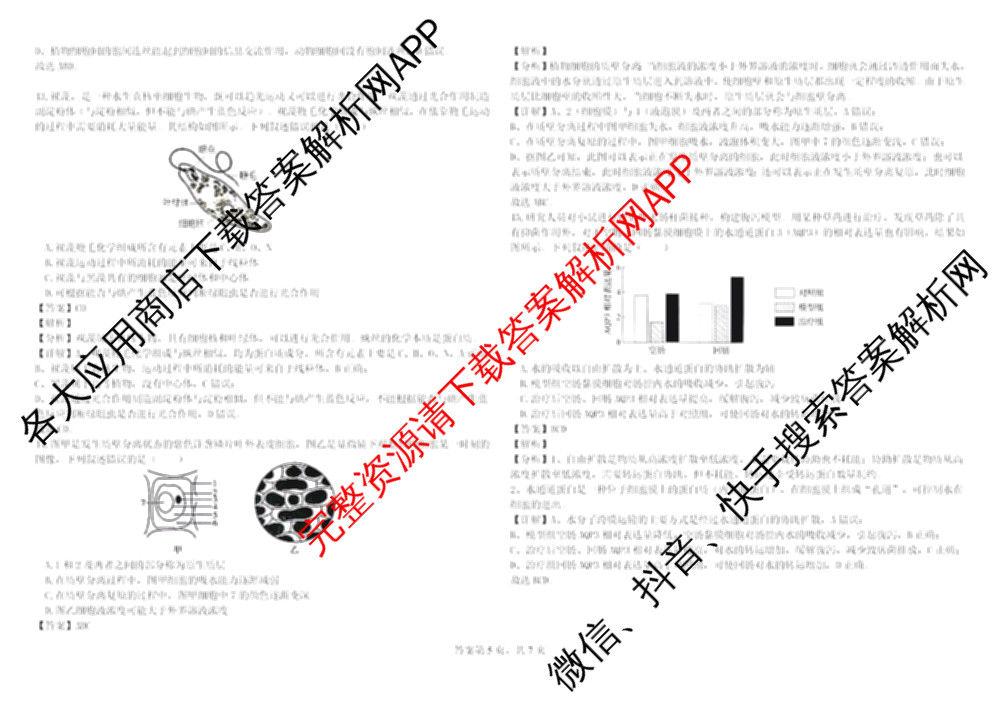 哈师大附中2025级2025-2026学年度第一学期期中考试各科答案及试卷: 含化学 地理 语文试卷解析生物答案