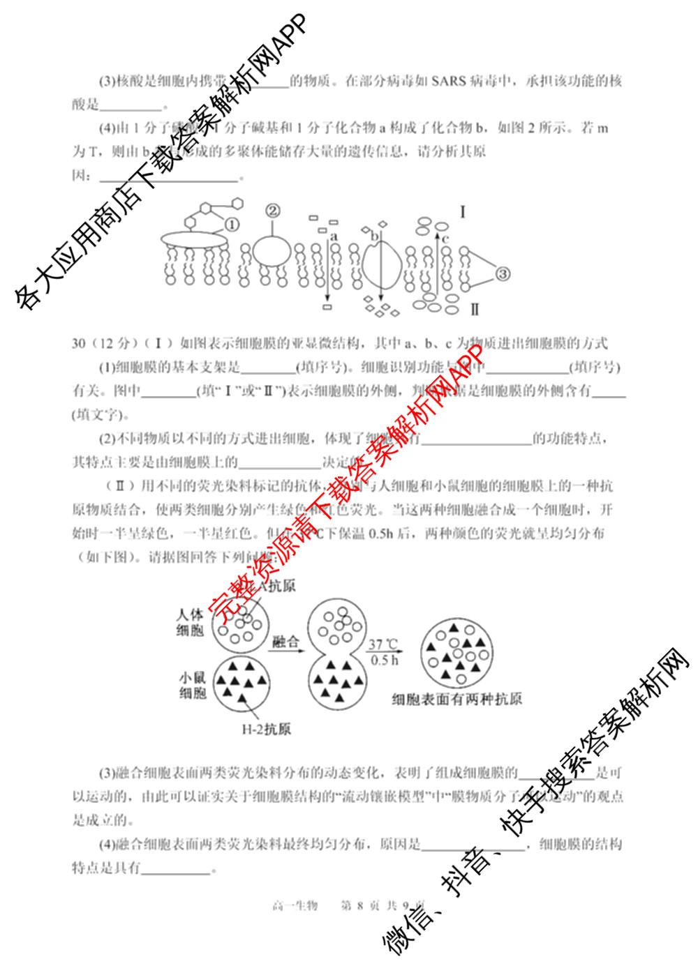 四川省射洪中学高2025级高一上期第二次月考（含生物、英语、语文等9份）生物试题