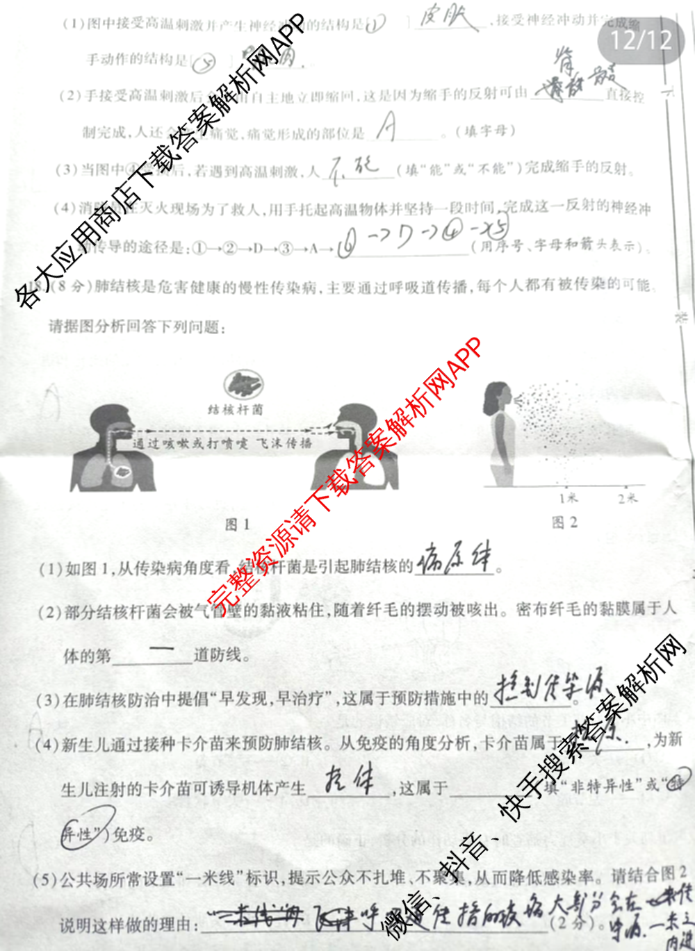 陕西省华阴市太华初级中学2025-2026学年度第一学期八年级课后综合作业(一)A试卷及答案汇总: 含生物(人教版) 物理(人教版) 语文试卷解析生物试题