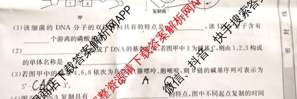 [安徽县中联盟]2024~2025学年度第二学期高一5月联考(25-X-732A)各科答案及试卷（含语文、地理(A卷)、生物(B)等）生物试题