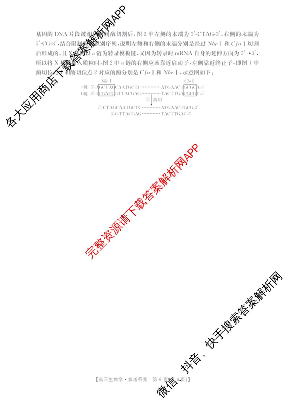 陕西省2026届高三考试(4.7)（含化学、英语、物理等）生物答案