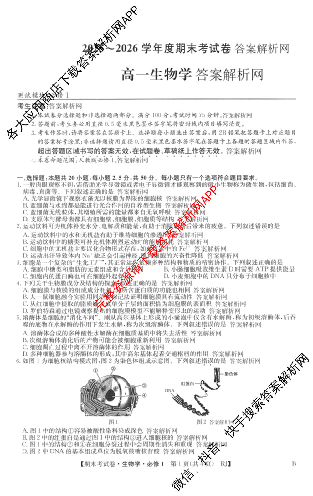 2025~2026学年度高一期末考试卷(上学期)各科答案及试卷(已更新语文(必修上册)、化学(必修第一册 RJ)、生物(必修1 RJ B)等9份)生物试题