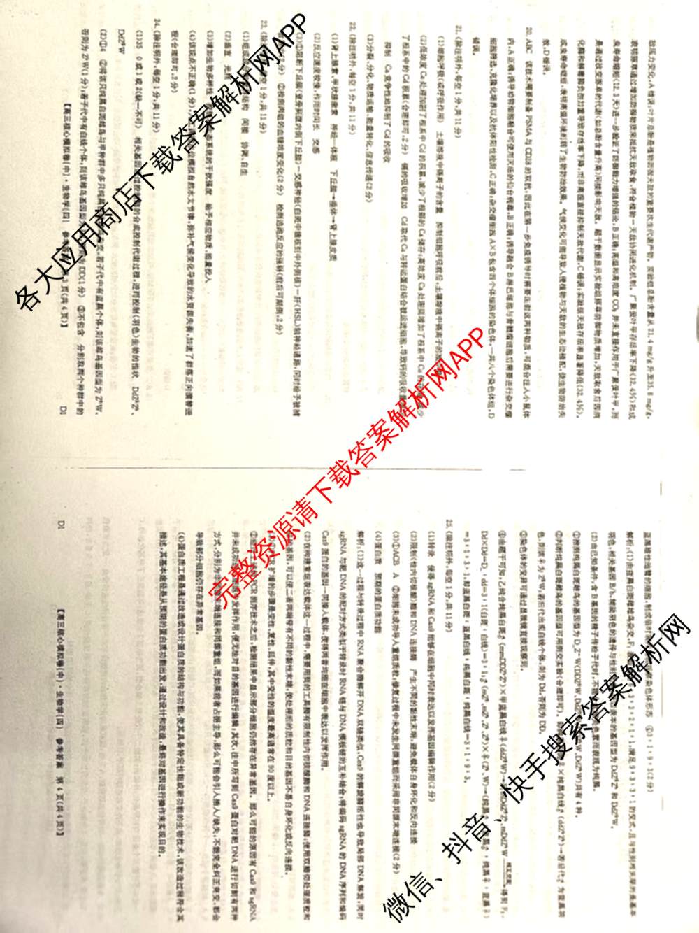 九师联盟2025~2026学年高三核心模拟卷(中)(四)试卷及答案汇总（36科全）生物答案