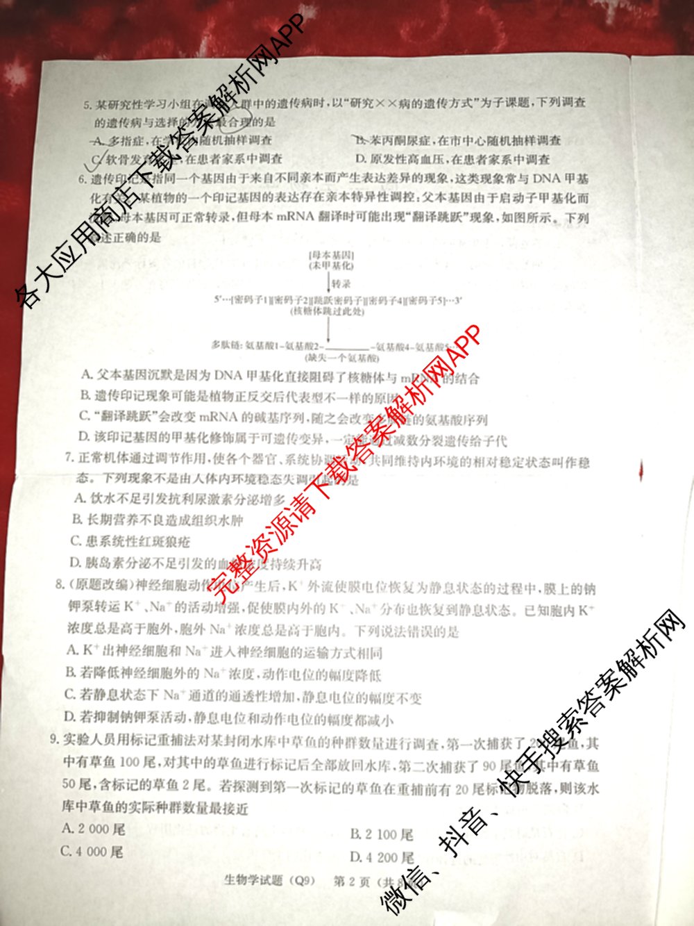 炎德英才大联考长沙市一中2026届高三月考试卷(九)(Q9)（含物理 数学 地理等）生物试题