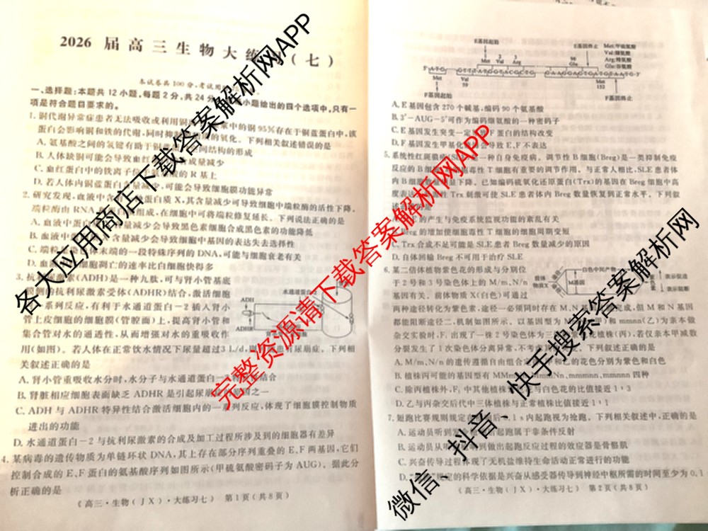 黄冈八模2026届高三大练(七)7（含历史(SD)、地理、物理(JX)等）生物试题