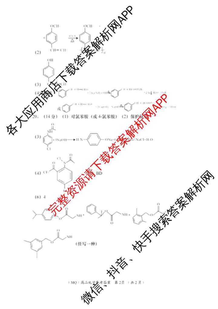 2024-2025学年度第二学期周期学业能力评鉴高二(6.26): 含历史、化学(MQ)、地理试卷解析化学答案