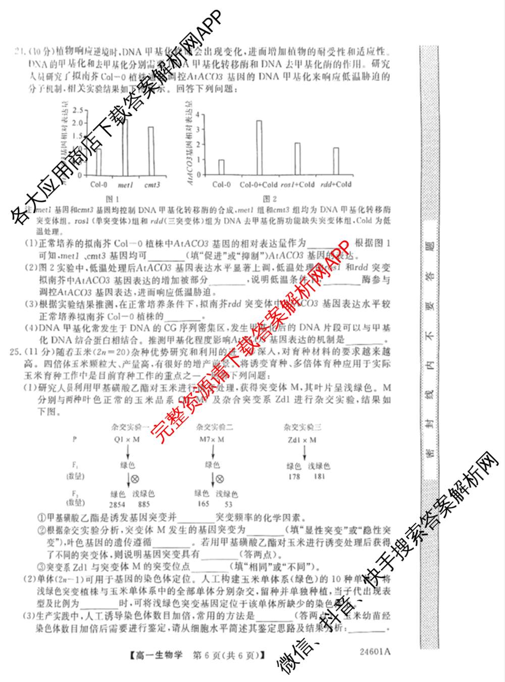 金科大联考2023-2024学年高一5月质量检测卷(24601A)(已更新英语、语文、生物等10份)生物试题