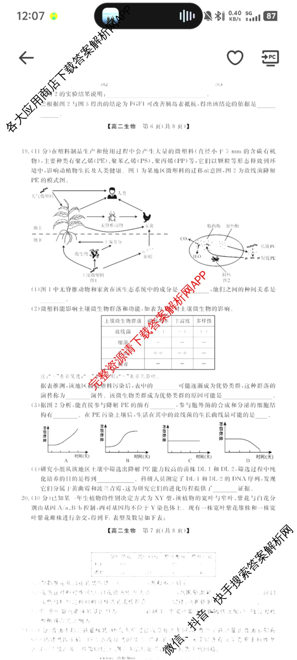 河南省2024~2025年高二下学期期末联考考试(HN)（含政治、英语、物理等）生物试题