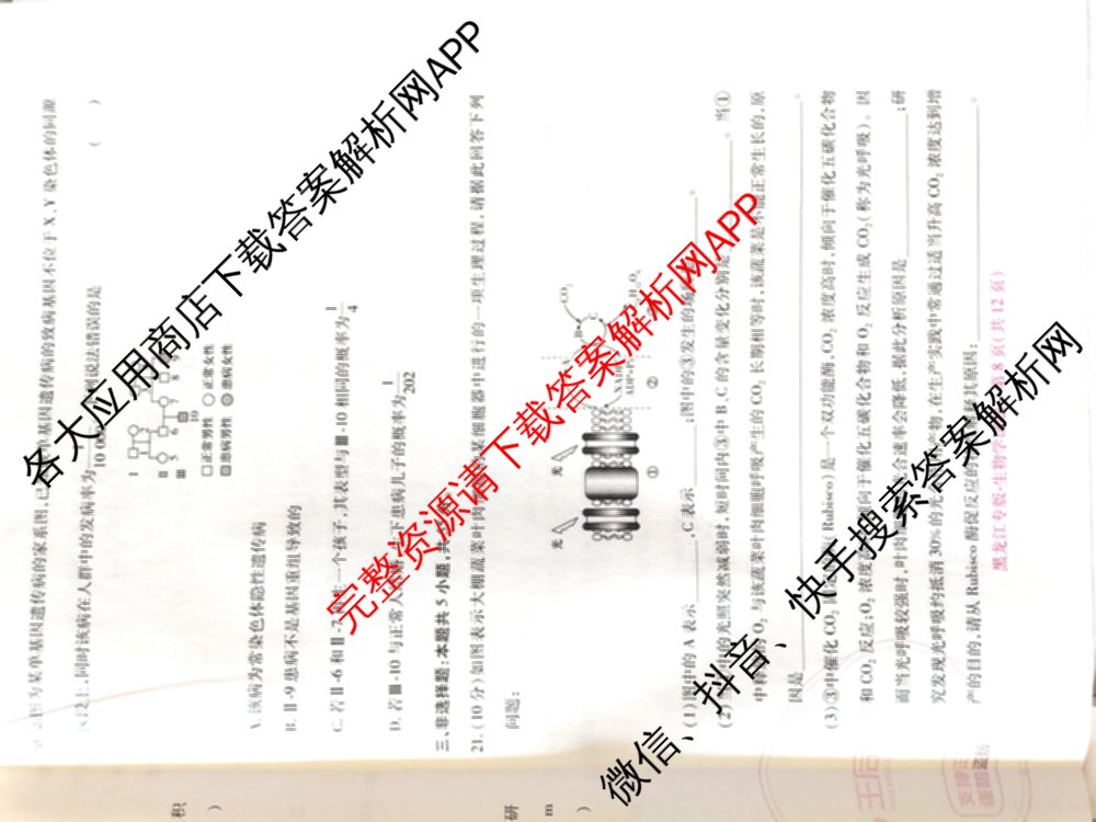 王后雄2024年普通高等学校招生全国统一考试预测卷各科答案及试卷（含语文(安徽专版)、政治(重庆专版)、历史(福建专版)等144份）生物试题