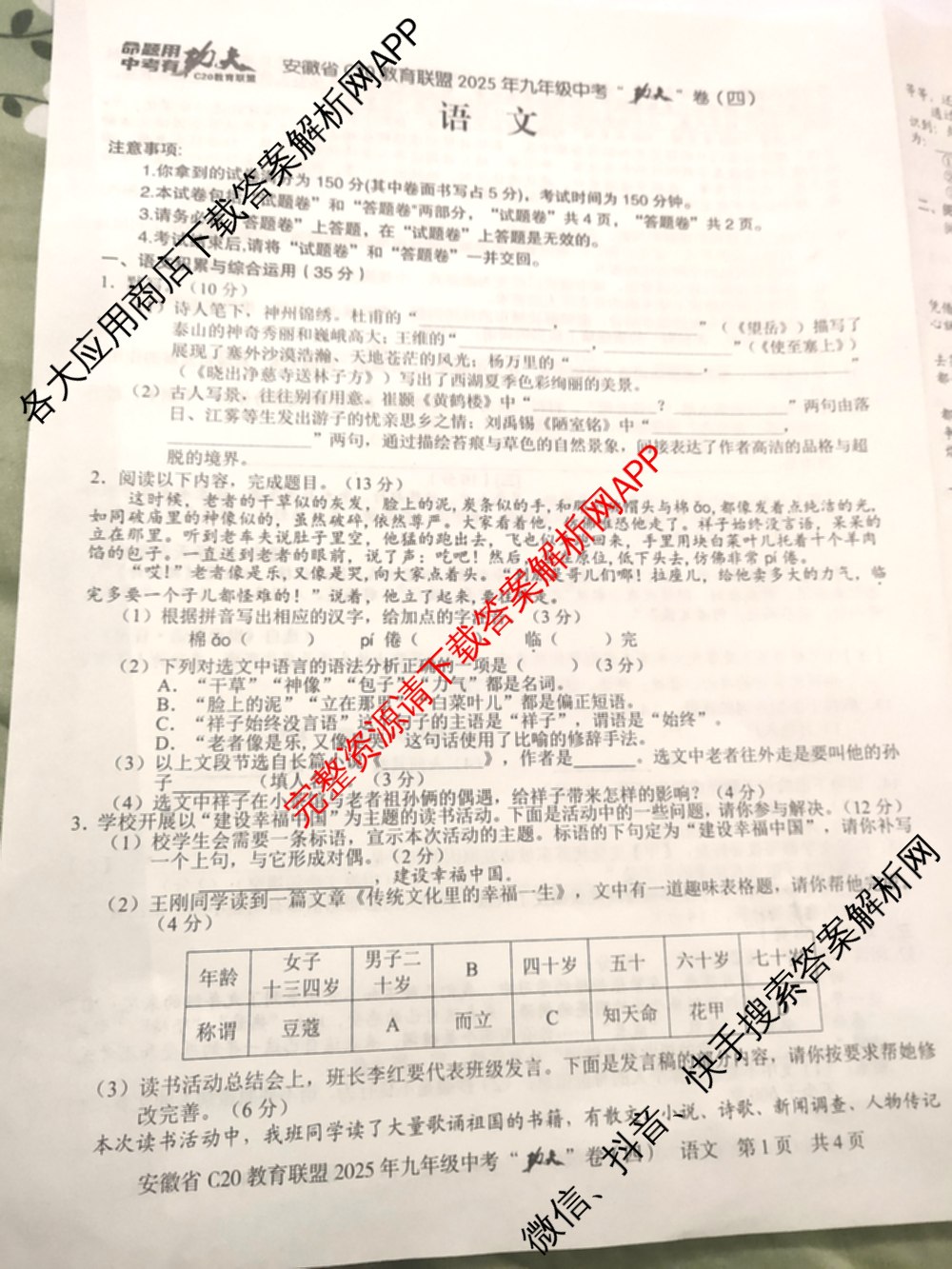 安徽省C20教育联盟2025年九年级中考功夫卷(四)(已更新语文 英语 数学等7份)语文试题