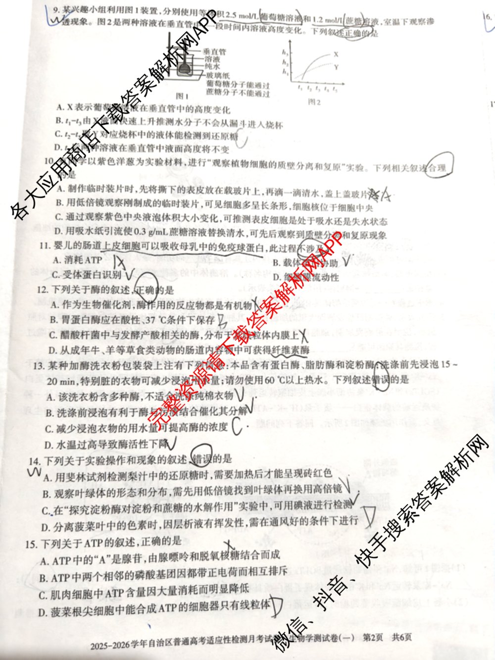 新疆2025-2026学年自治区普通高考适应性检测月考试卷(一)试卷及答案汇总（含生物 化学 历史等9份）生物试题